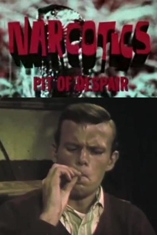 Постер Narcotics: Pit of Despair